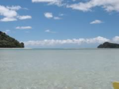 Tropical Island Paradise