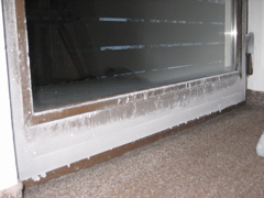 Ice on the INSIDE of the door