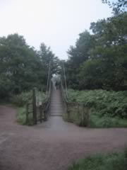 Foggy start