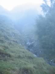 Coming out of the fog
