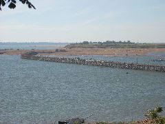 Bamboo bridge