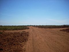 Cambodian dirt road