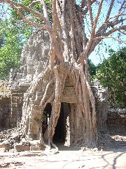 Angkor Wat