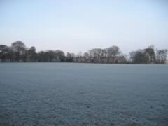 Frozen fields