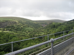 Brunel's Viaduct