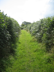 Bike track