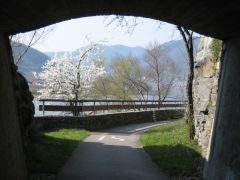 Wachau region