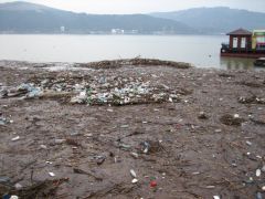 Orsova waterfront rubbish