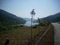 Fujian Valley