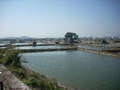 Rural scenes
