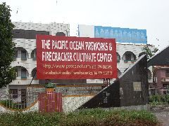 Fireworks Factory