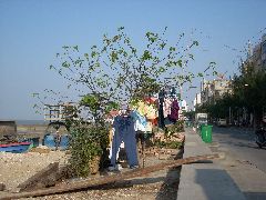 Beihai scenes