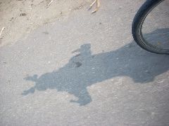 Devil beside me