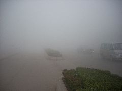 Foggy day