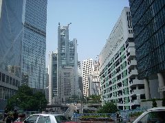 HK Urban Jungle