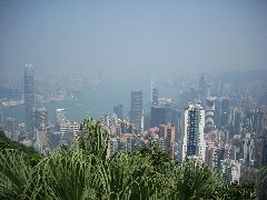 HK Urban Jungle
