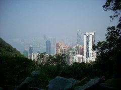 HK Urban Jungle