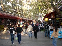 Nanjing street scene