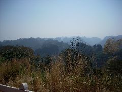 Laos jungle