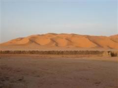 Desert Landscape