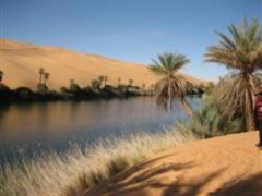 Desert Lake