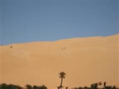 Desert Skiiers