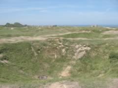 Scarred Land