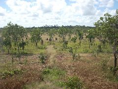NT roadside view
