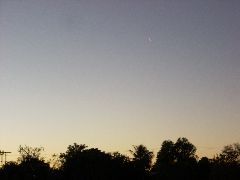 UFO? or Plane?