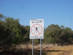 Fruitfly sign