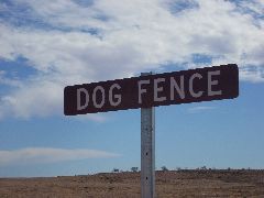 Dog fence