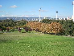 Adelaide