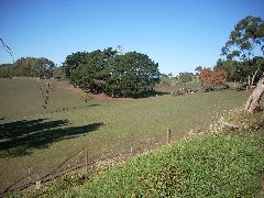 Adelaide Hills