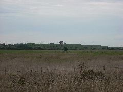 Windmill water pump