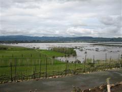 Farm under water