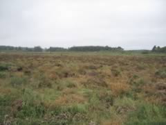 Culloden