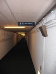 To the Bunker