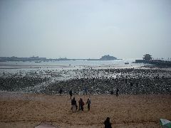 Qingdao