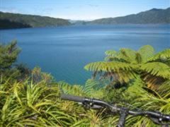 Queen Charlotte view