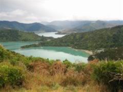 Queen Charlotte view
