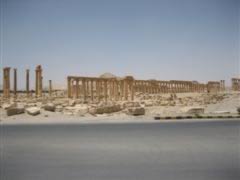 Palmyra