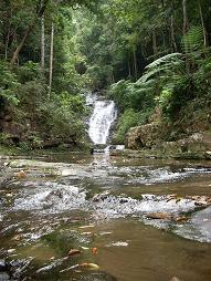 Thai waterfall