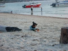 Ko Tao beach