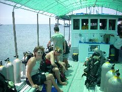 Ko Tao diving