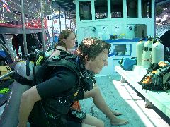 Ko Tao diving