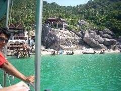 Ko Tao diving