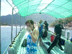 Ko Tao diving