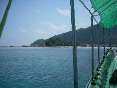 Ko Tao diving