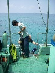 Ko Tao diving