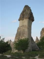 Penis-shaped rocks